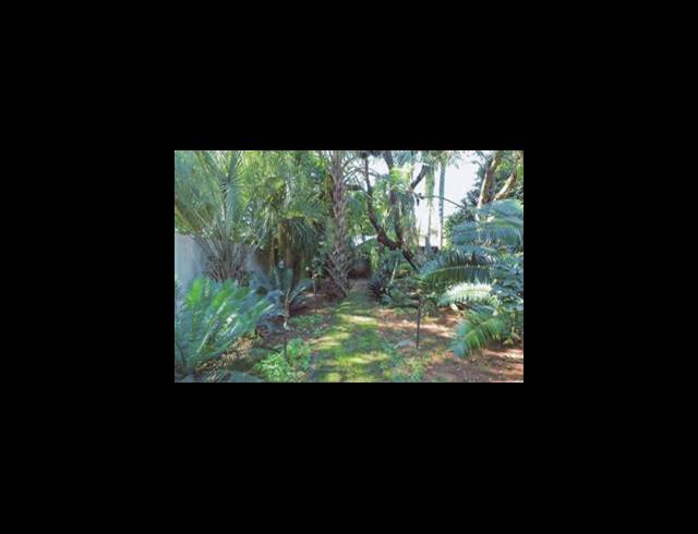 3 BEDROOM HOUSE FOR SALE IN THERESAPARK